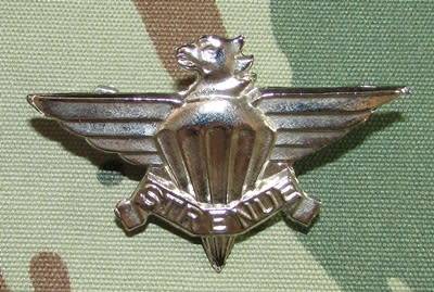 SANDF - 3 Parachute Battalion Beret Badge ( Cast )