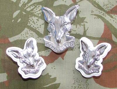 SADF - Army Intelligence Cap and Collar Set