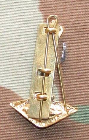 Australia Signals Cape Badge