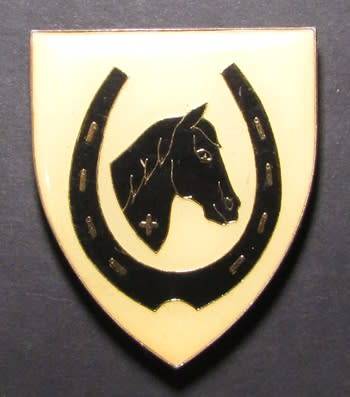 SADF - Equestrian Center Shoulder Flash