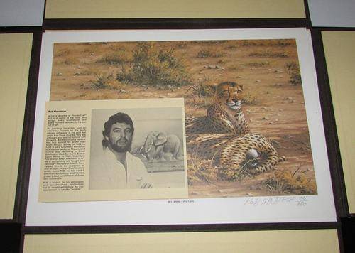 Rob Macintosh - Folder with 4 Limited Edition Signed Lithograph Prints
