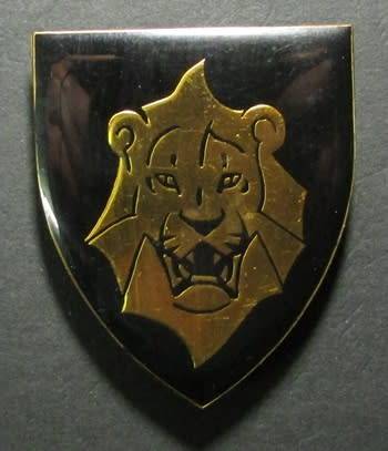 SADF - Gordonia Commando Shoulder Flash