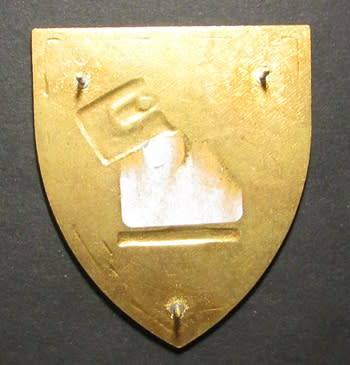 South African National Defence Force ( SANDF ) Shoulder Flash