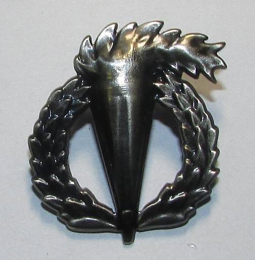 Pathfinders Full Size Breast Badge
