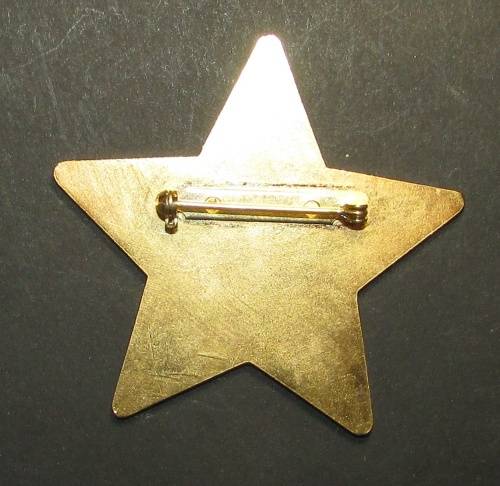 Traffic Police Breast Star