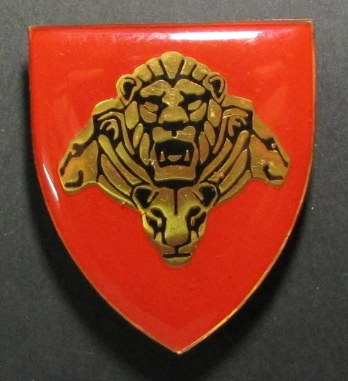 SANDF - Shoulder Flash