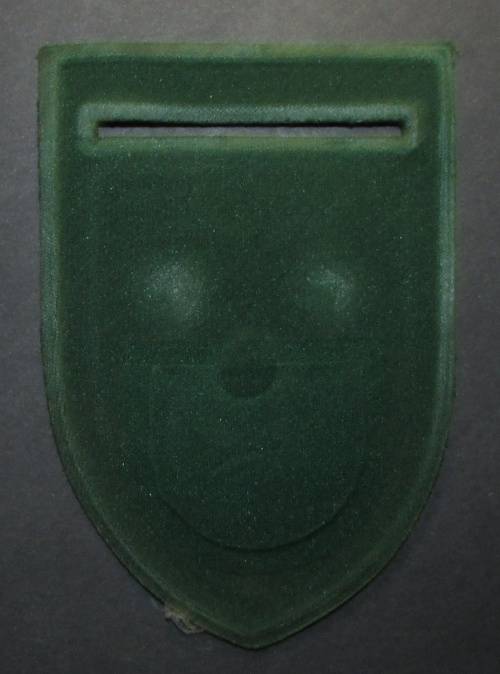 Correctional Services Tupper Flash