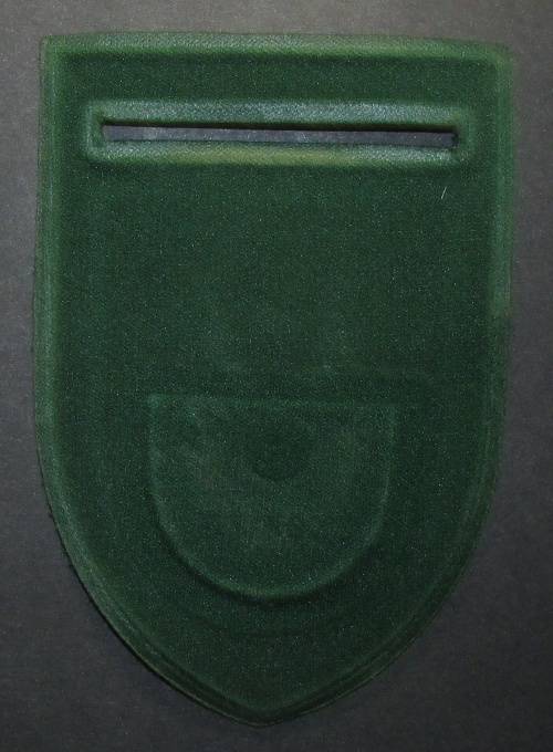 Correctional Services Tupper Flash