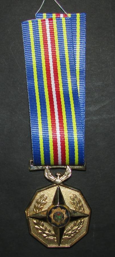 ( Last One )SAPS - 40 Year Loyal Service Full Size Medal