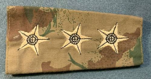 SAP - Camo Slip on Rank