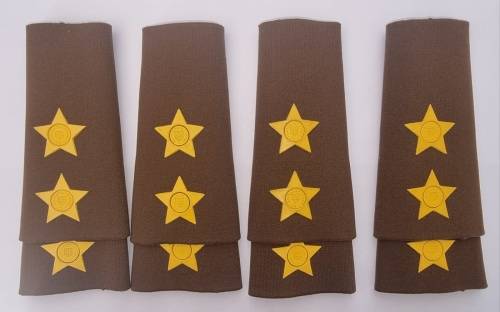 SADF - Lieutenant Rubberised Slip on Ranks ( Bid Per Set )
