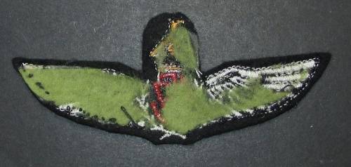 Zimbabwe Pilot Wing
