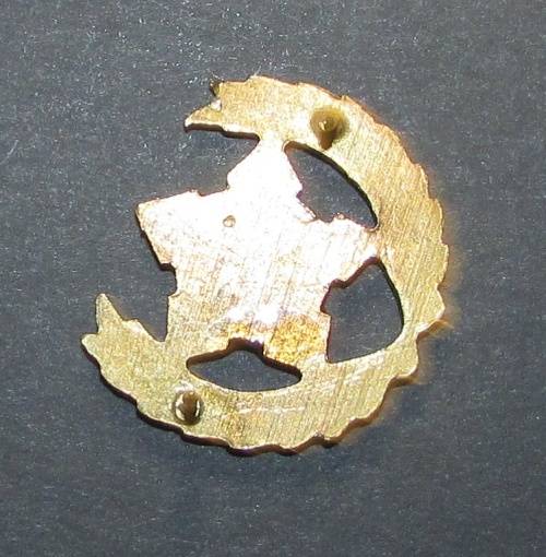 SADF - 5 Year Voluntary Service Breast Badge