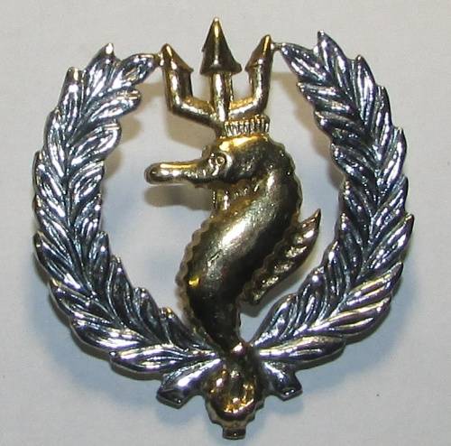 SADF - SA Navy Independant Ships and Air/Sea Rescue Flotilla Bi-Metal Breast Badge
