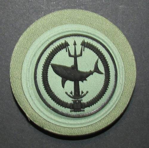 SA Army Special Forces ( Recce - Attack Diver ) Breast Badge