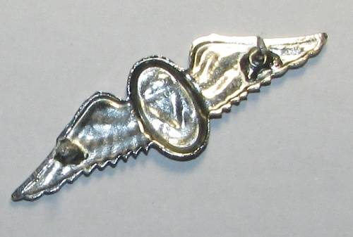 SADF - Freefall Parachute Instructor Mess Dress Wing