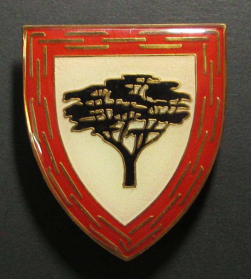 SA Army Shoulder Flash