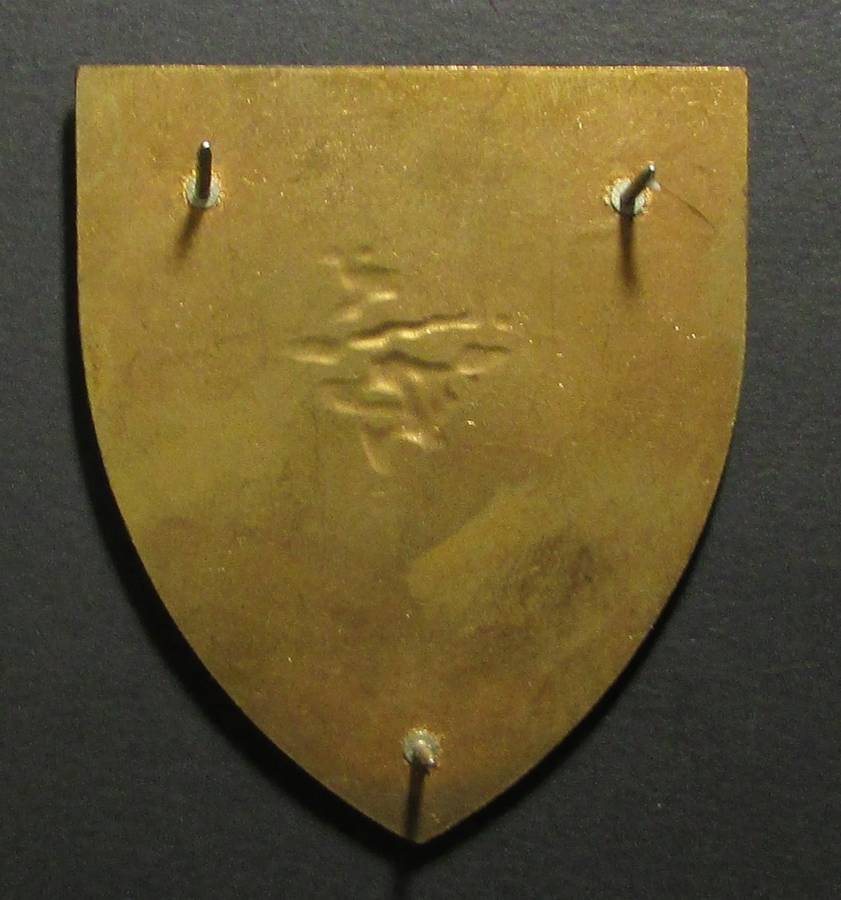 SA Army Shoulder Flash