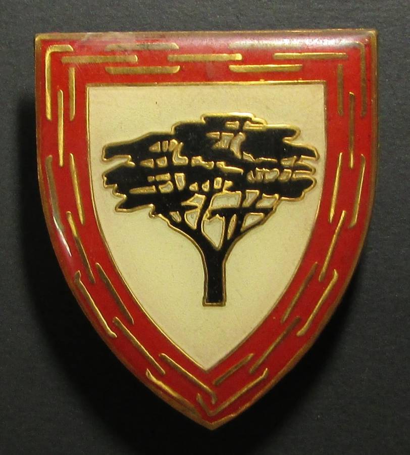 SA Army Shoulder Flash