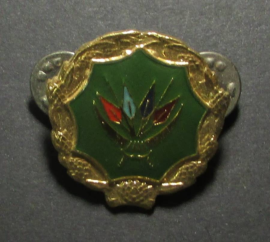 SA Army Voluntary Service Badge
