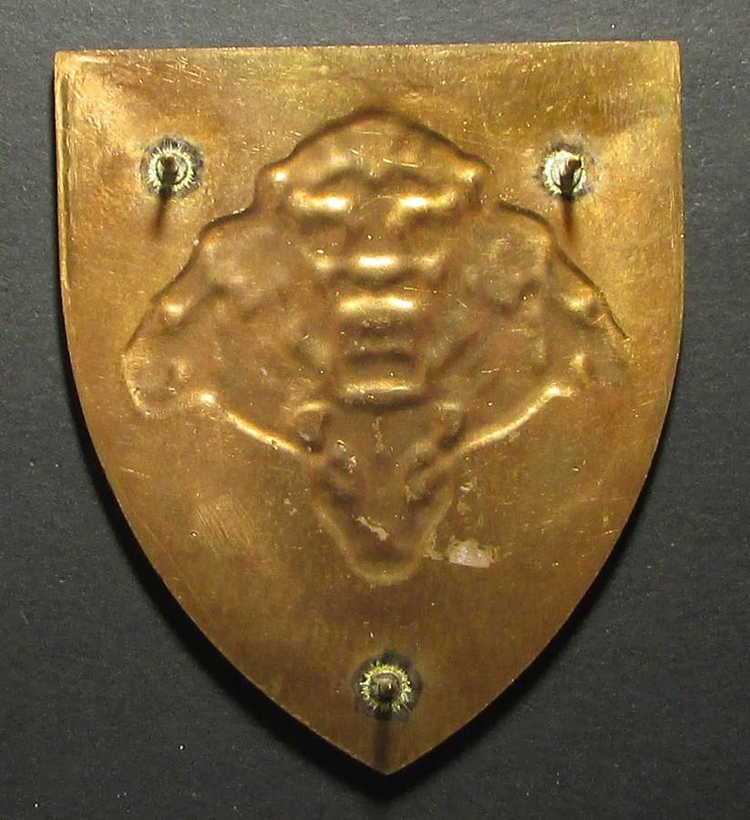 SANDF - Pride of the Nation Shoulder Flash