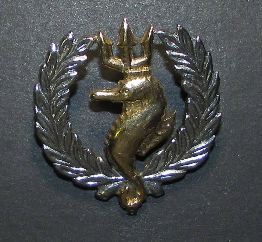 SADF - Navy Independant Ships and Air/Sea Rescue Breast Badge