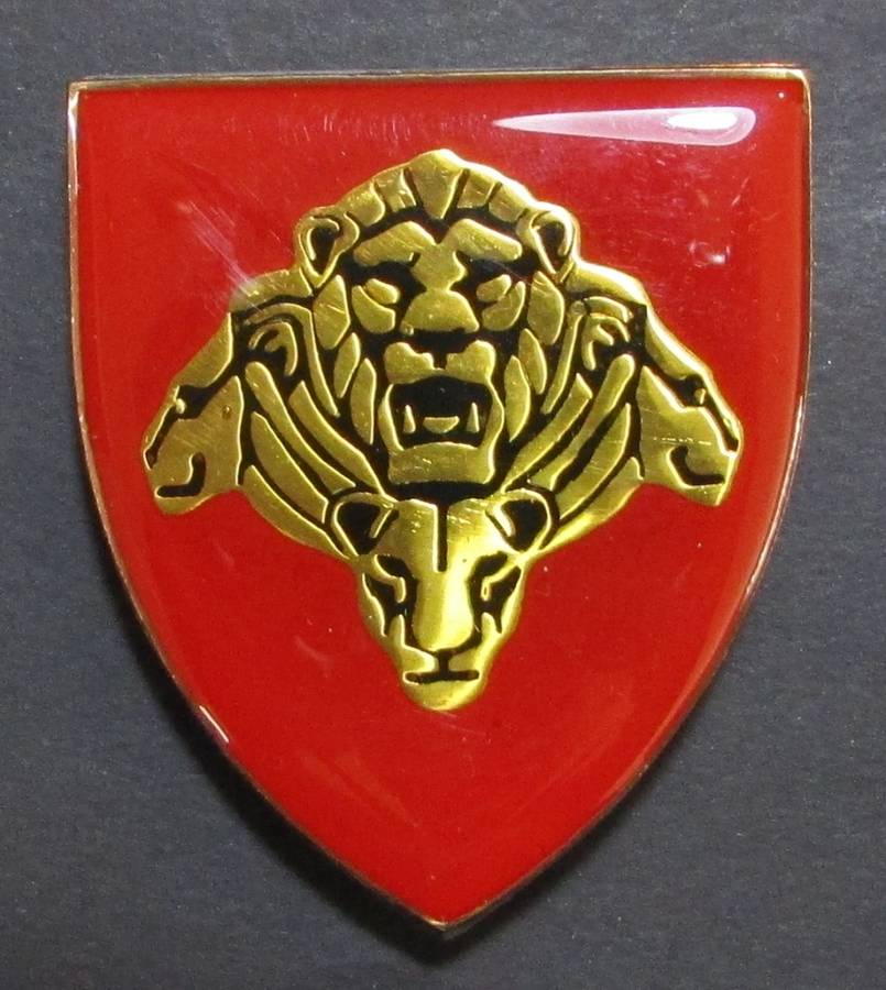 SA Army Pride of the Nation Shoulder Flash