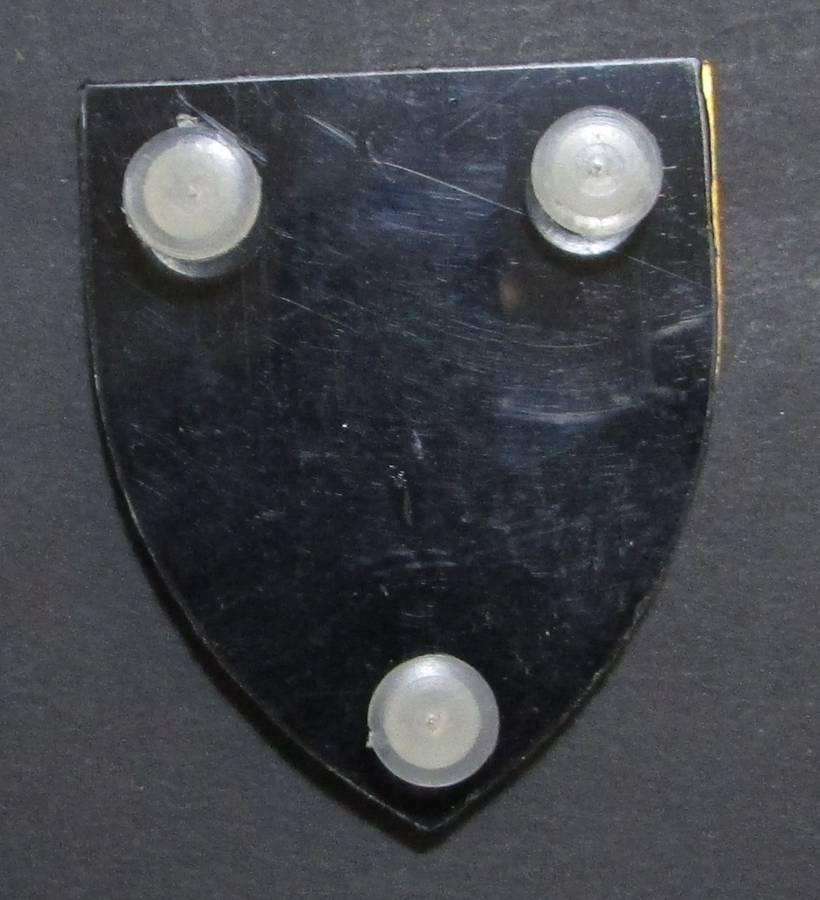 SA Army Pride of the Nation Shoulder Flash
