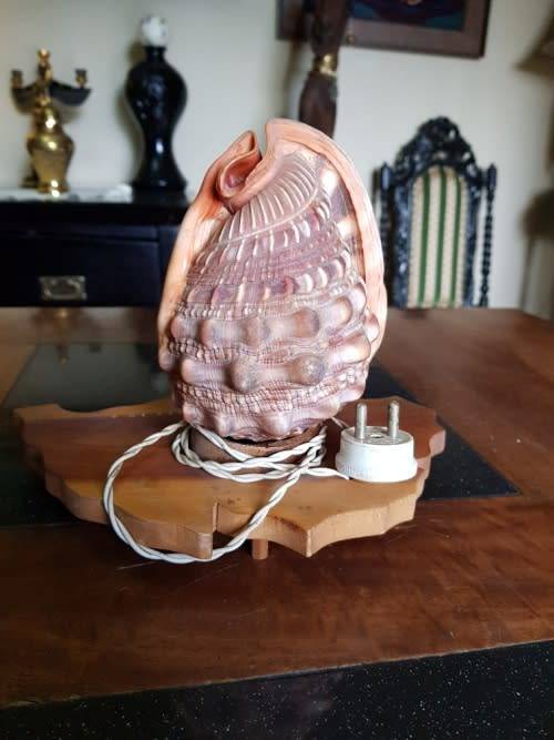 Vintage Shell Lamp Made in Marituis