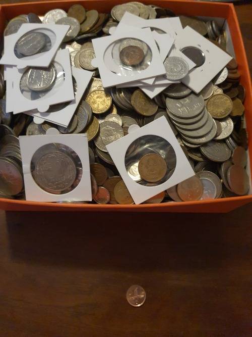 massive coin collection