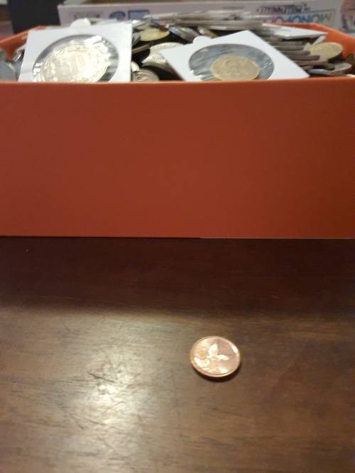 massive coin collection