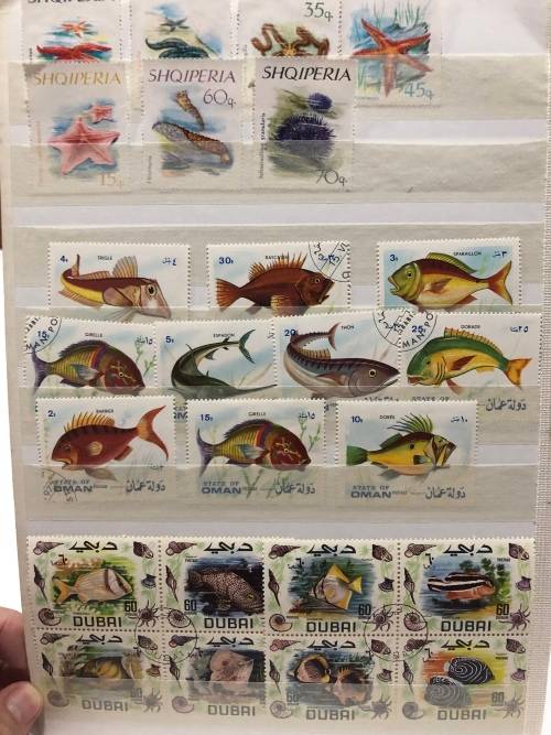 Marine life used sets and singles