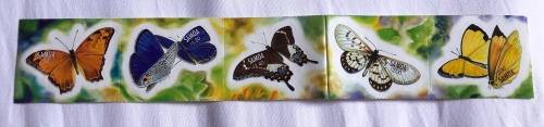 Samoa shaped butterflies **