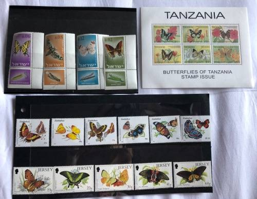 Butterflies **