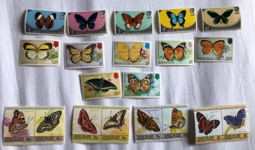 Butterflies **