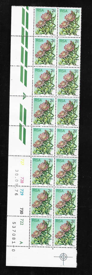 3 RSA Varieties on Proteas
