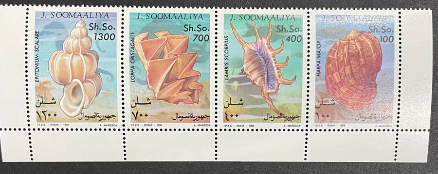 Somalia shells