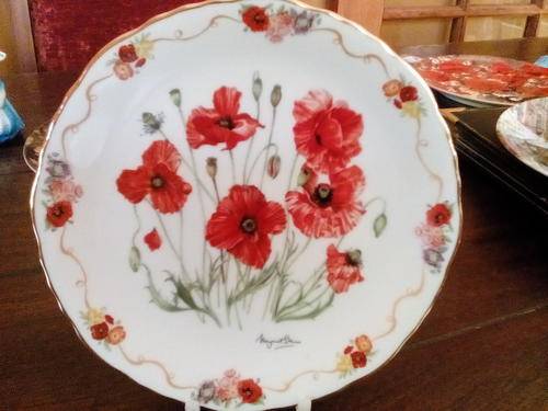 " Field Poppy "  Stunning !  British Legion