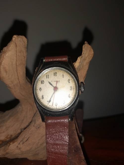 Vintage Watch: Timex