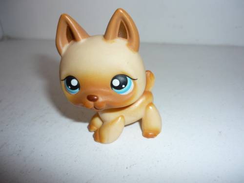 THE LITTLEST PETSHOP