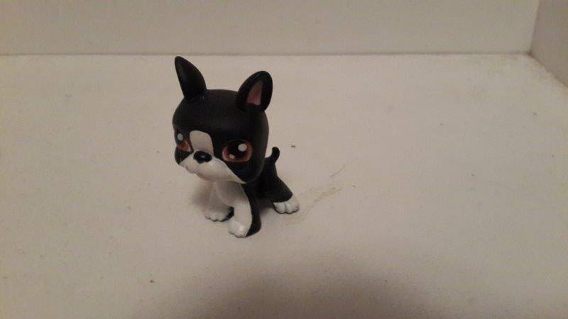 THE LITTLEST PETSHOP