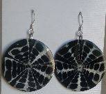 Stunning Shell Earrings - Sterling Silver