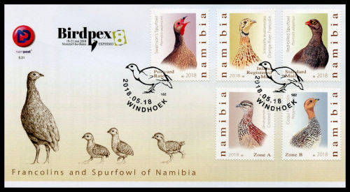 Namibie / Namibia 2018 - VOGELS / VOELS / BIRDS set (5) on FDC 5.31 / Eerste Dag Koevert !!!