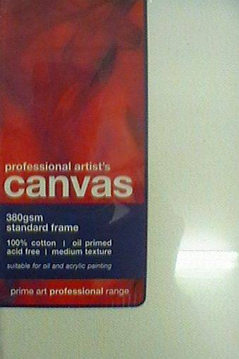 STRETCHED BLANK CANVAS - PROFESSIONAL RANGE IDEAL FOR OILS AND ACRYLICS 250 X 250 mm 10"X10"