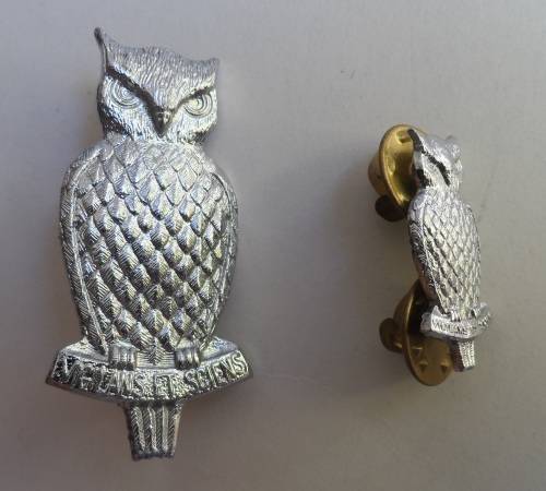 Military Intelligence Cap and Collar Badge