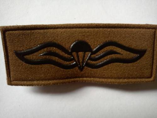 SA Parachute Basic Wings