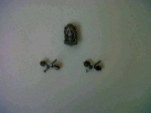 SWA REACTION FORCE INFANTRY