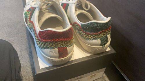 Gucci Dragon Aces UK9.5 *Origional* / Late Entry
