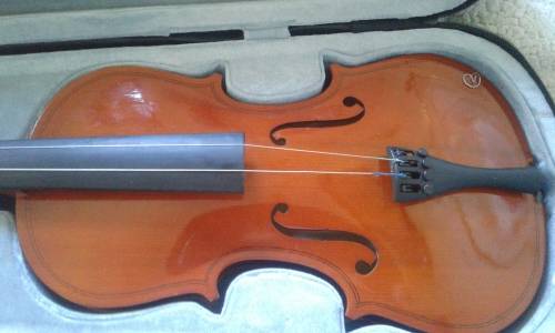 Violin - beginners - strings and hair