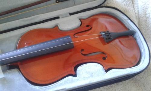 Violin - beginners - strings and hair